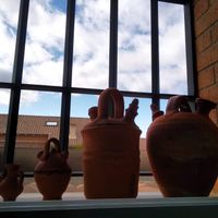 TEMA 1 FAMILIA BOTIJO