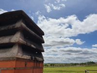 TEMA 1 FUMATA BLANCA