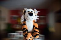 TEMA 2 AL CORRO DE LA PATATA_1